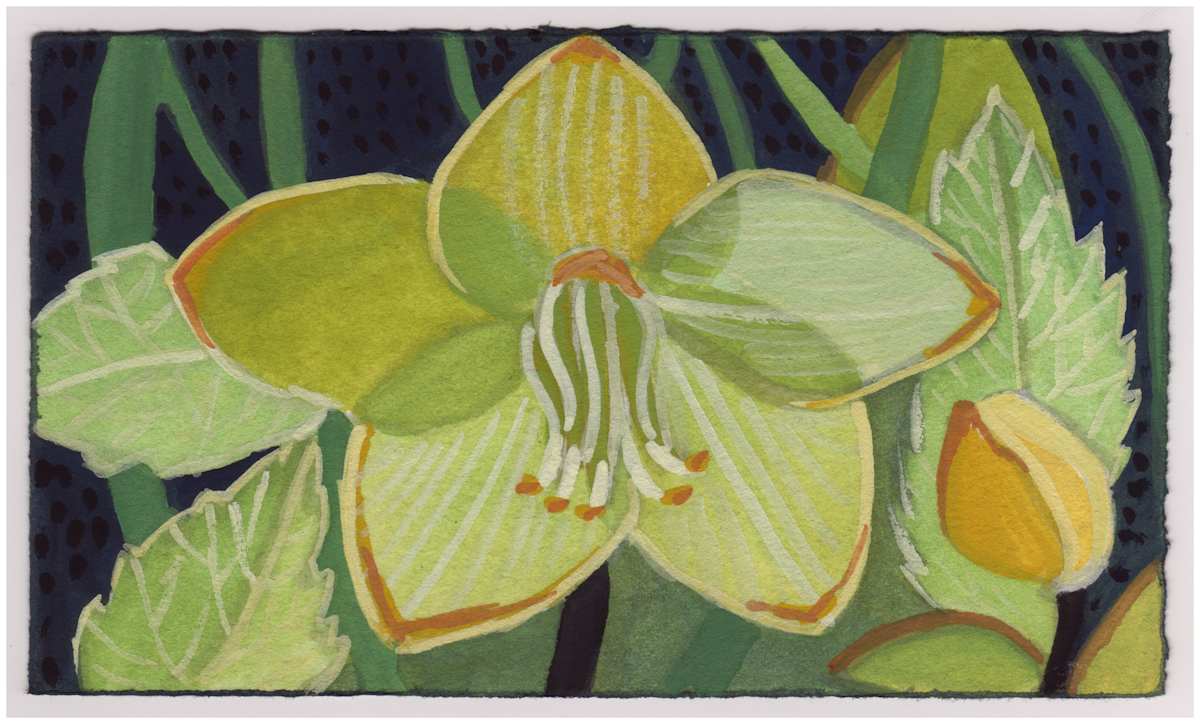 And Hellebores. #884 by Raya Bodnarchuk, Estate, Image 1.