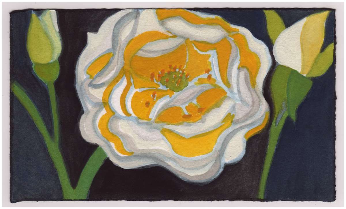A Rose. #894 by Raya Bodnarchuk, Estate, Image 1.