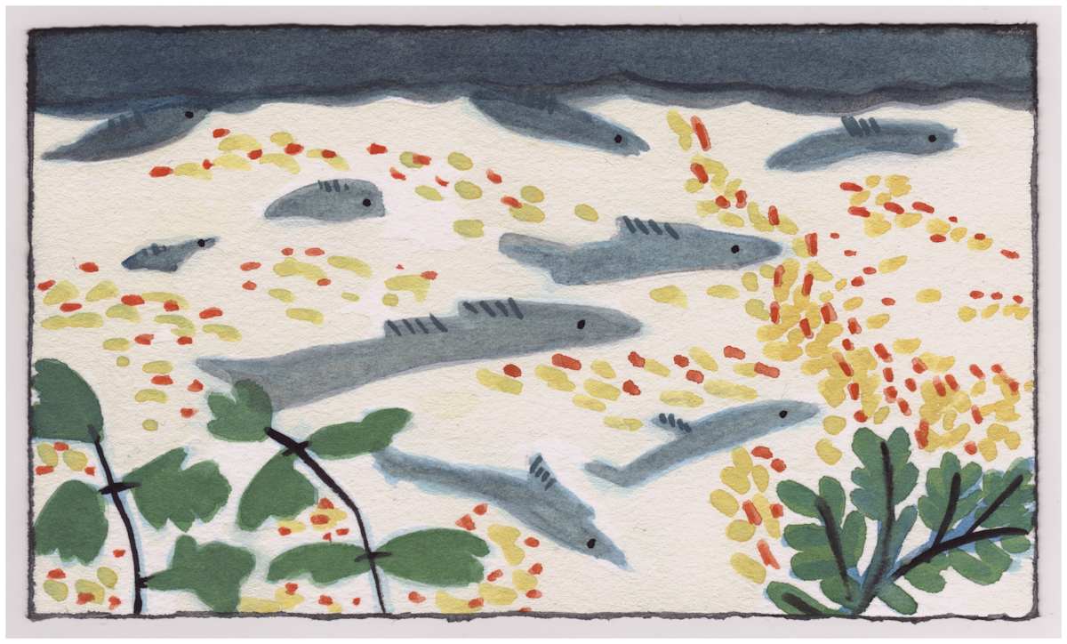 Fish in the Shallow Canal. #906 by Raya Bodnarchuk, Estate, Image 1.