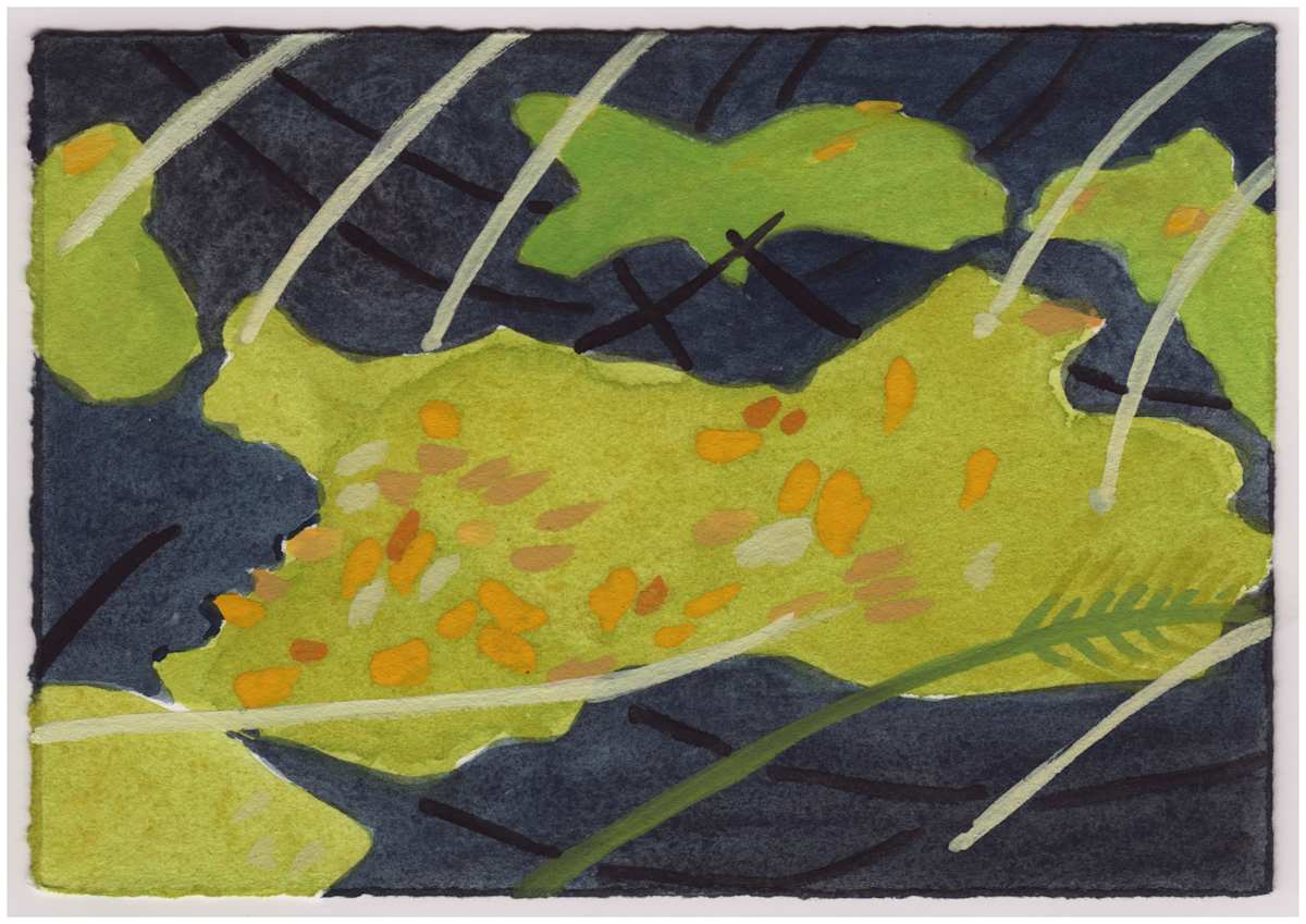Leaves on the Algae. #935 by Raya Bodnarchuk, Estate, Image 1.