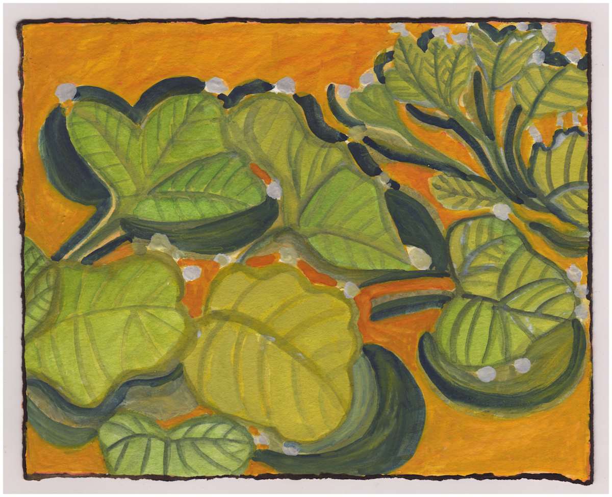 Special Squash With Hay. #948 by Raya Bodnarchuk, Estate, Image 1.