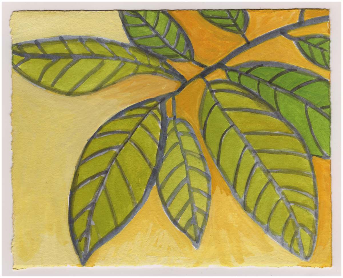 Pawpaw Leaves. #949 by Raya Bodnarchuk, Estate, Image 1.