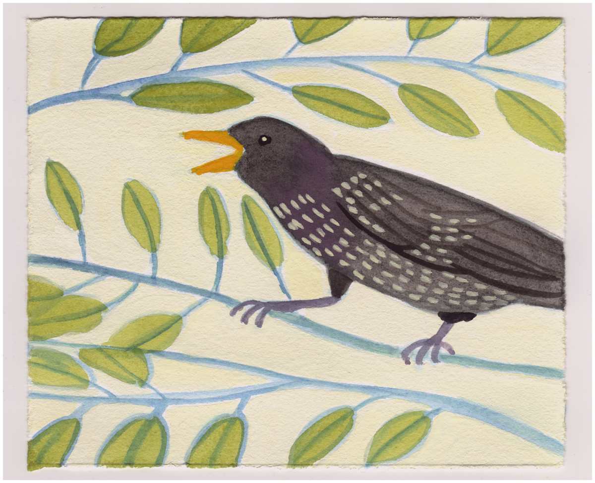 It Is Too Hot For This Starling. #964 by Raya Bodnarchuk, Estate, Image 1.