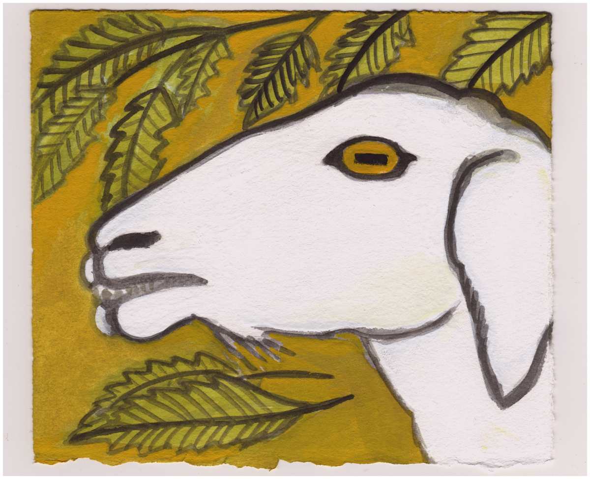 A Goat. #976 by Raya Bodnarchuk, Estate, Image 1.