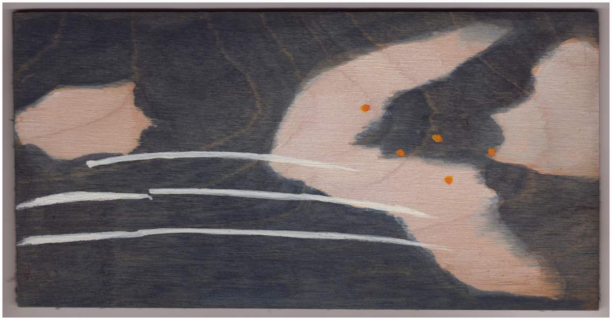 Three Perseid Meteors. #985 by Raya Bodnarchuk, Estate, Image 1.