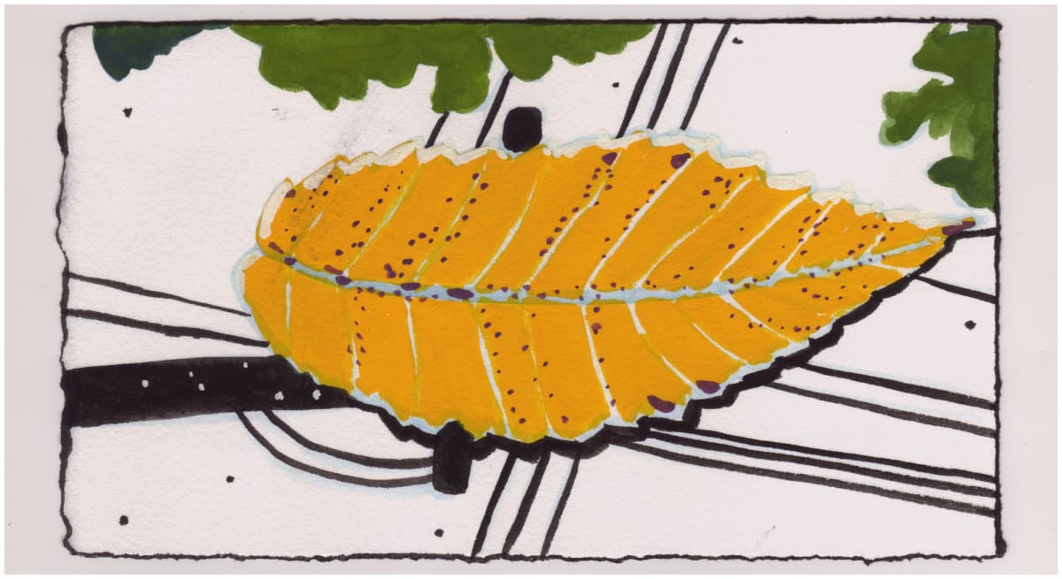 A Golden Rain Tree Leaf and Reflections on the Hood of My Car. #1006 by Raya Bodnarchuk, Estate 