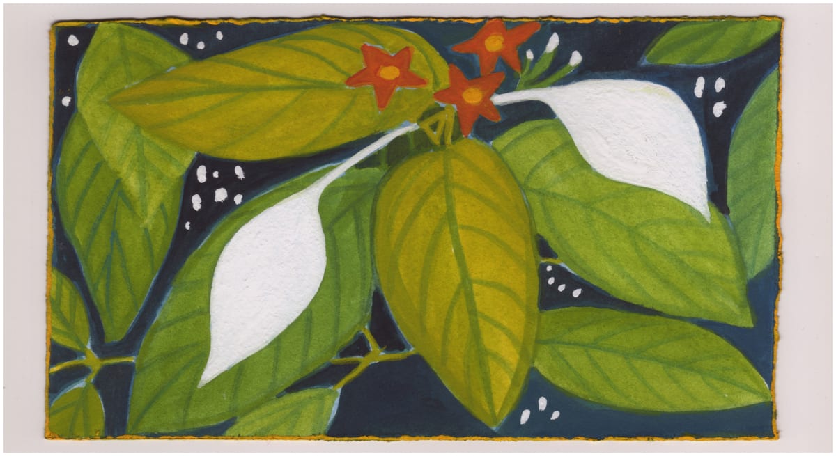 Two White Petals Near the Smithsonian. #1008 by Raya Bodnarchuk, Estate 