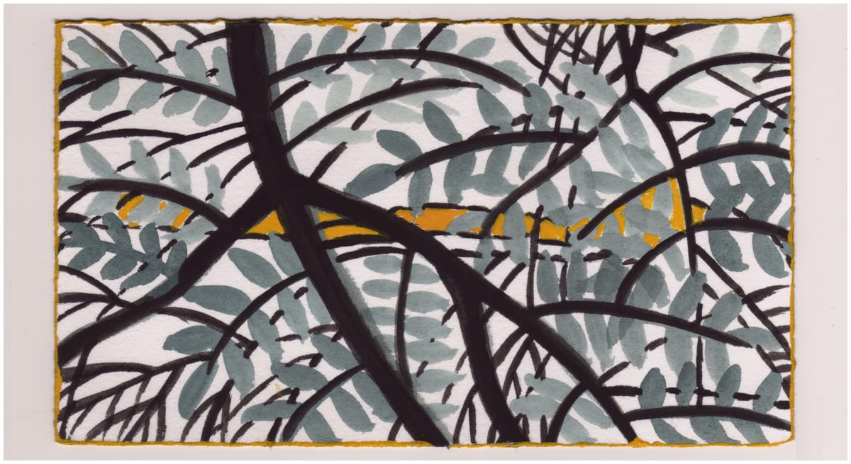 The Locust Tree. #1027 by Raya Bodnarchuk, Estate 