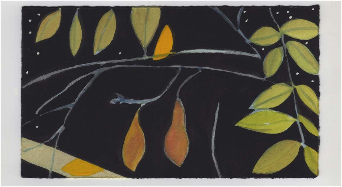 The Moon Through the Vines Tonight. #1102 by Raya Bodnarchuk, Estate, Image 1.