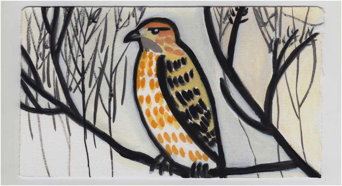 A Hawk. #1107 by Raya Bodnarchuk, Estate, Image 1.