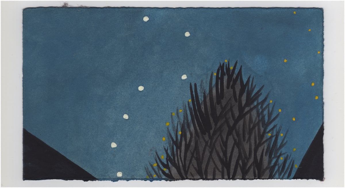 The Big Dipper. #1174 by Raya Bodnarchuk, Estate 