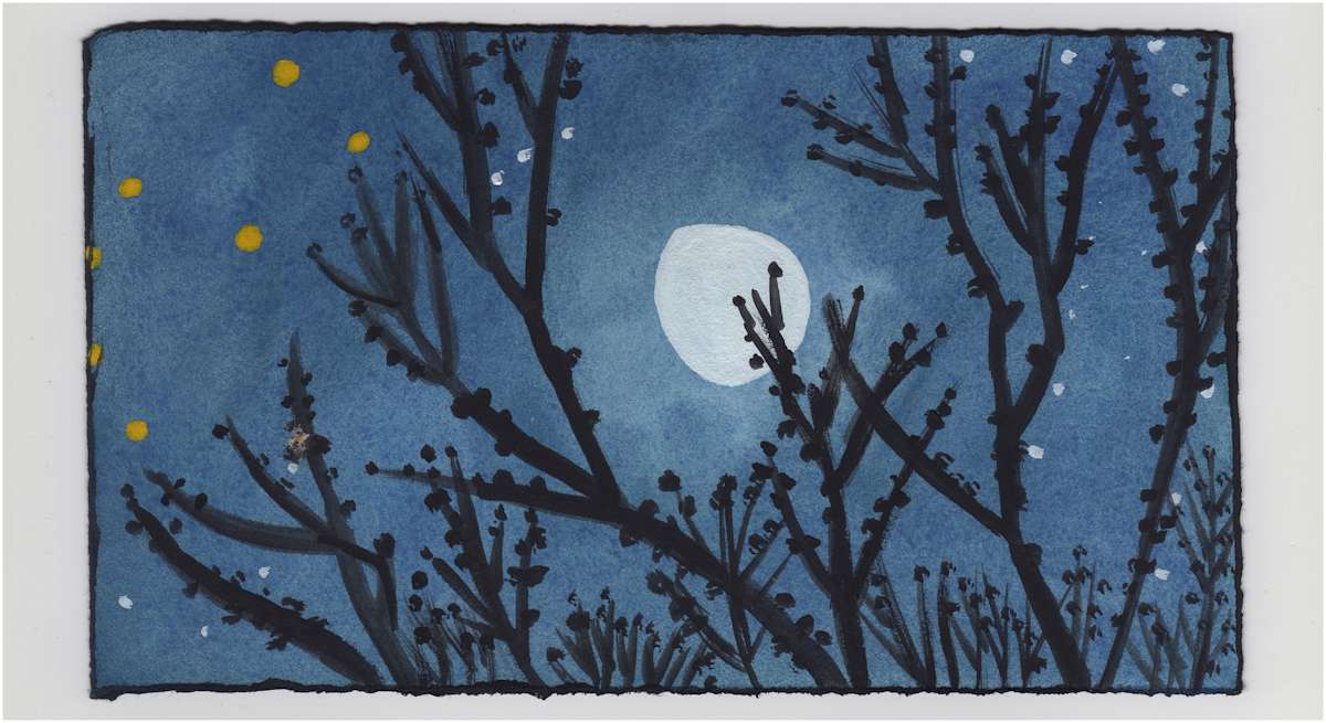 Buds on a Clear Night. #1194 by Raya Bodnarchuk, Estate, Image 1.