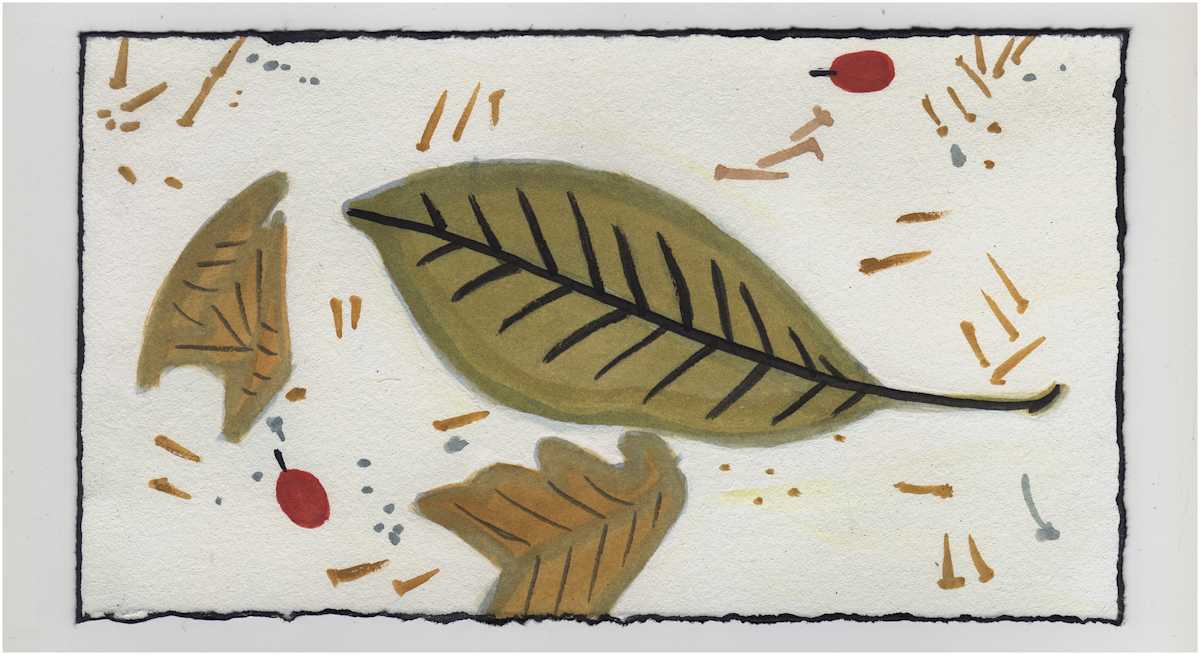 A Magnolia Leaf, Aucuba Fruit, and Sycamore Seeds. #1201 by Raya Bodnarchuk, Estate, Image 1.
