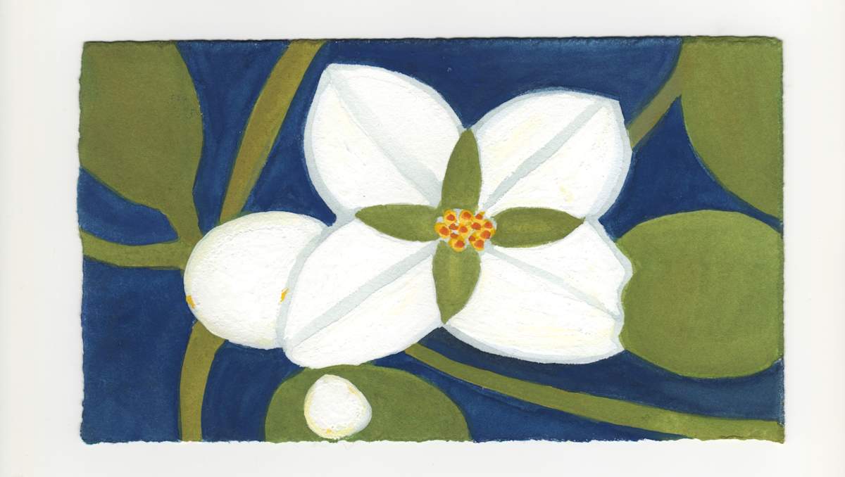 Mock Orange. #1246 by Raya Bodnarchuk, Estate, Image 1.
