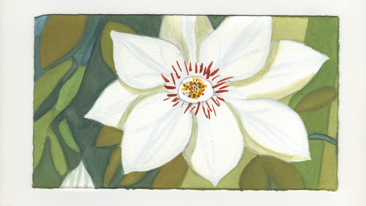One Clematis Bloom. #1252 by Raya Bodnarchuk, Image 1.