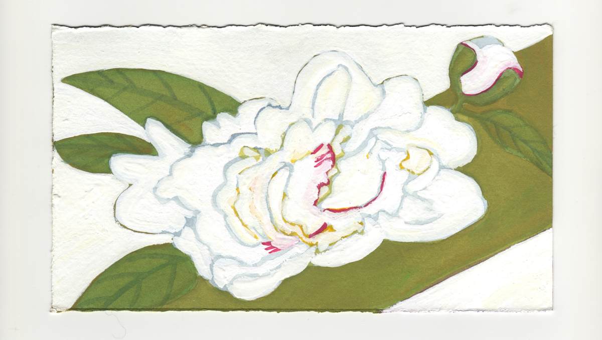 The Peony. #1258 by Raya Bodnarchuk, Estate, Image 1.