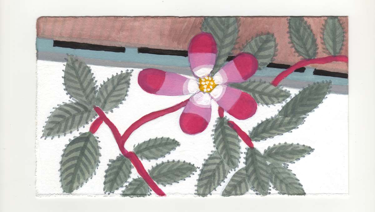 Five Petal Rose. #1259 by Raya Bodnarchuk, Estate, Image 1.
