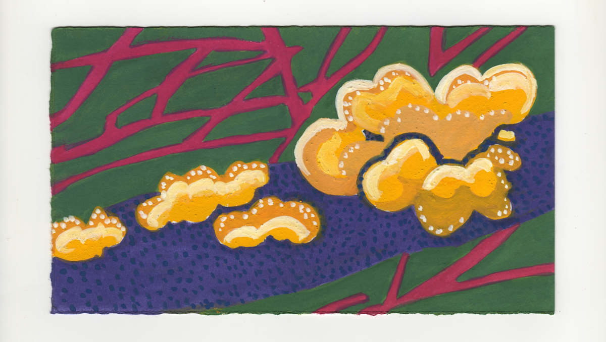 Witch's Butter on the Rose of Sharon. #1261 by Raya Bodnarchuk, Estate, Image 1.