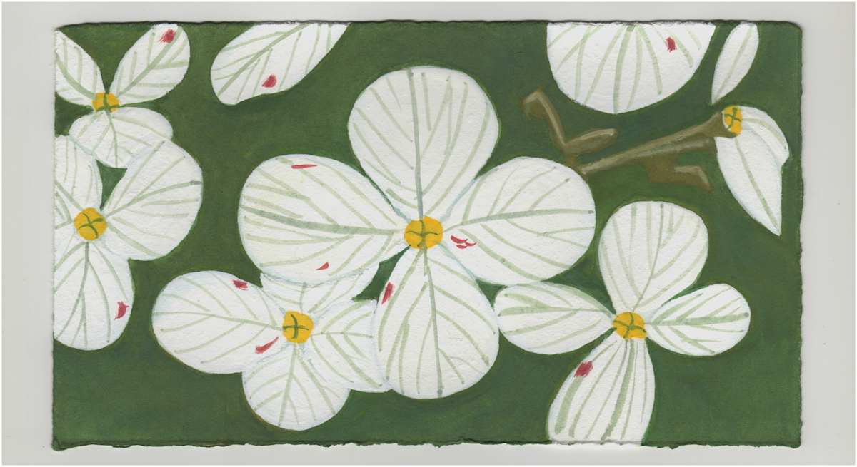 Hydrangea Flowers. #1285 by Raya Bodnarchuk, Image 1.
