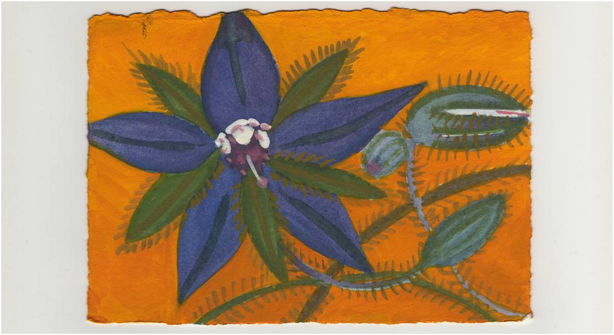 A Borage Blossom. #1320 by Raya Bodnarchuk, Estate, Image 1.