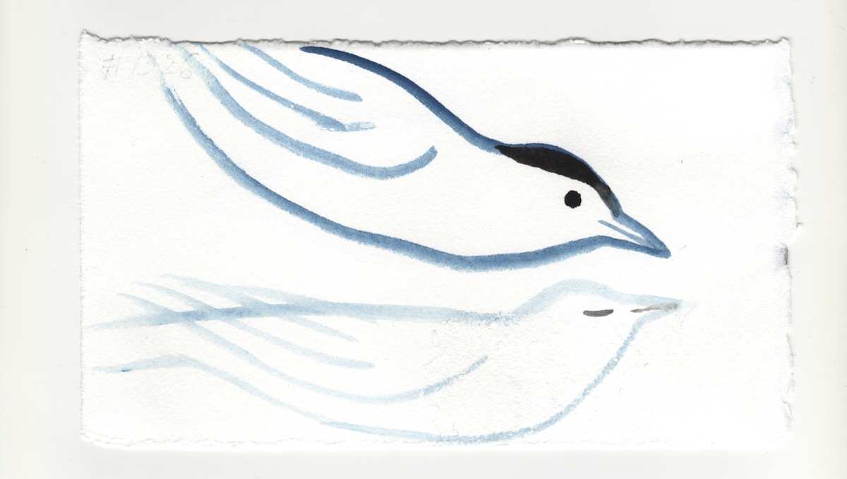 For the Catbird. #1326 by Raya Bodnarchuk, Estate, Image 1.
