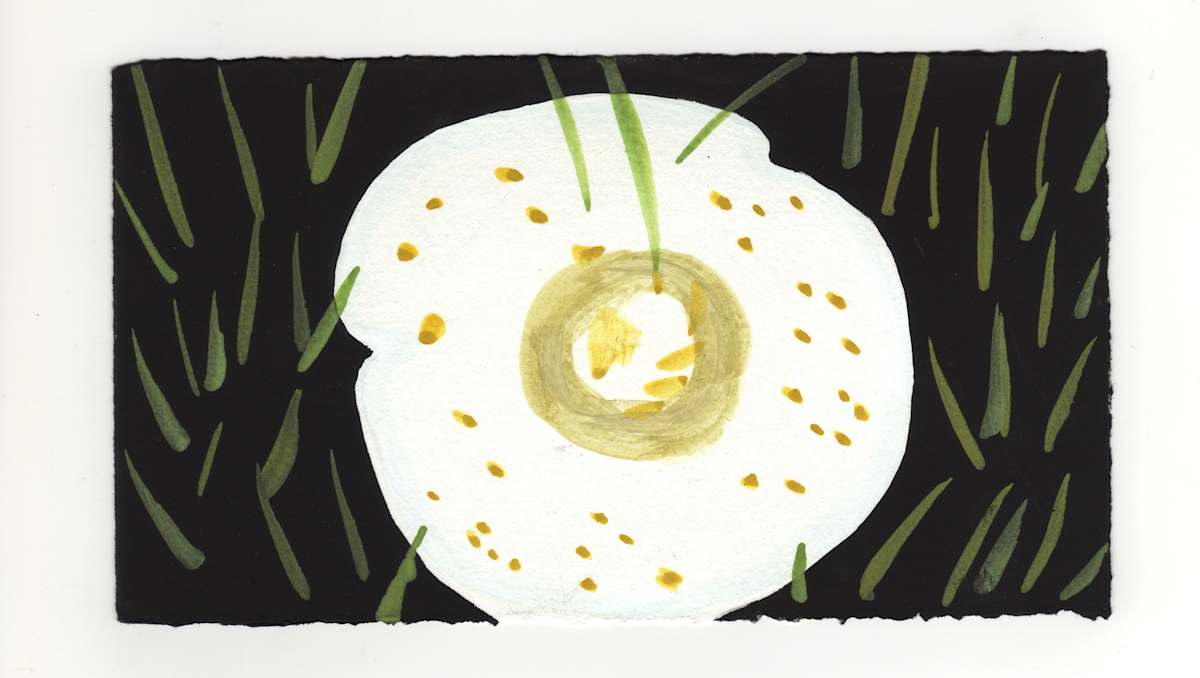 A Fairy Mushroom. #1346 by Raya Bodnarchuk, Estate, Image 1.