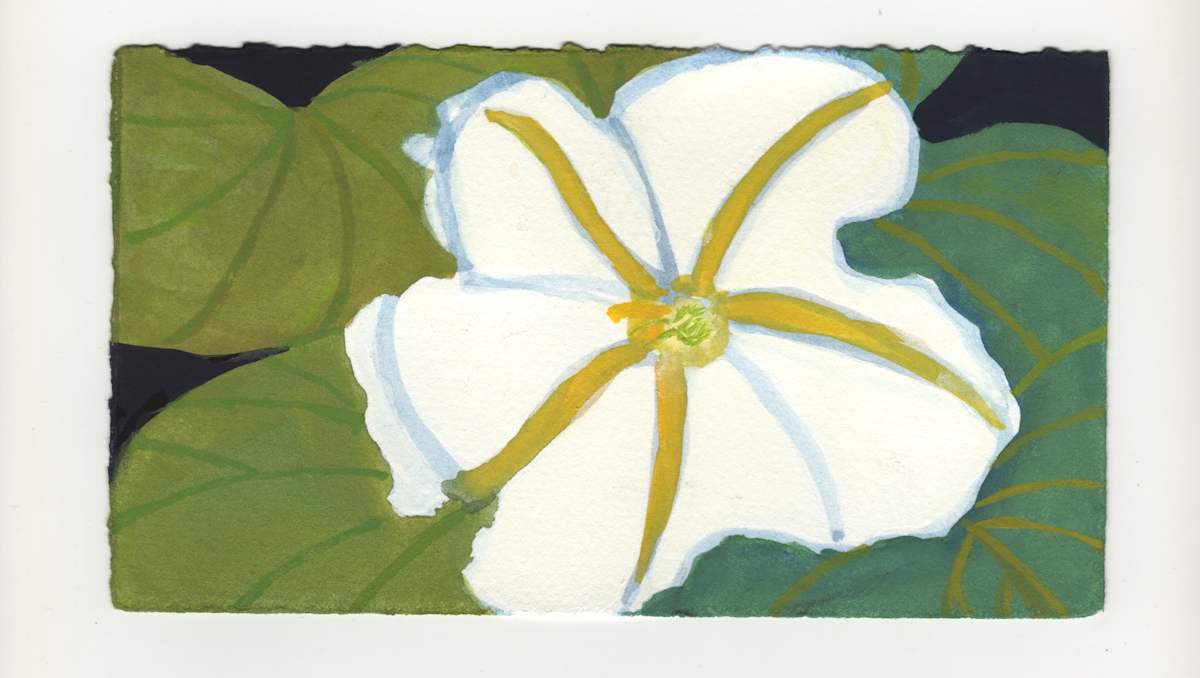 A Moon Flower. #1347 by Raya Bodnarchuk, Estate, Image 1.