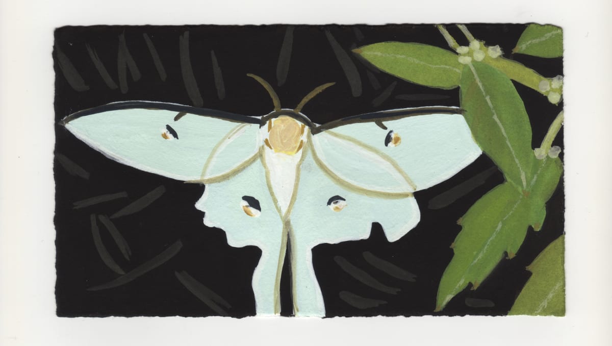 A Luna Moth. #1348 by Raya Bodnarchuk 