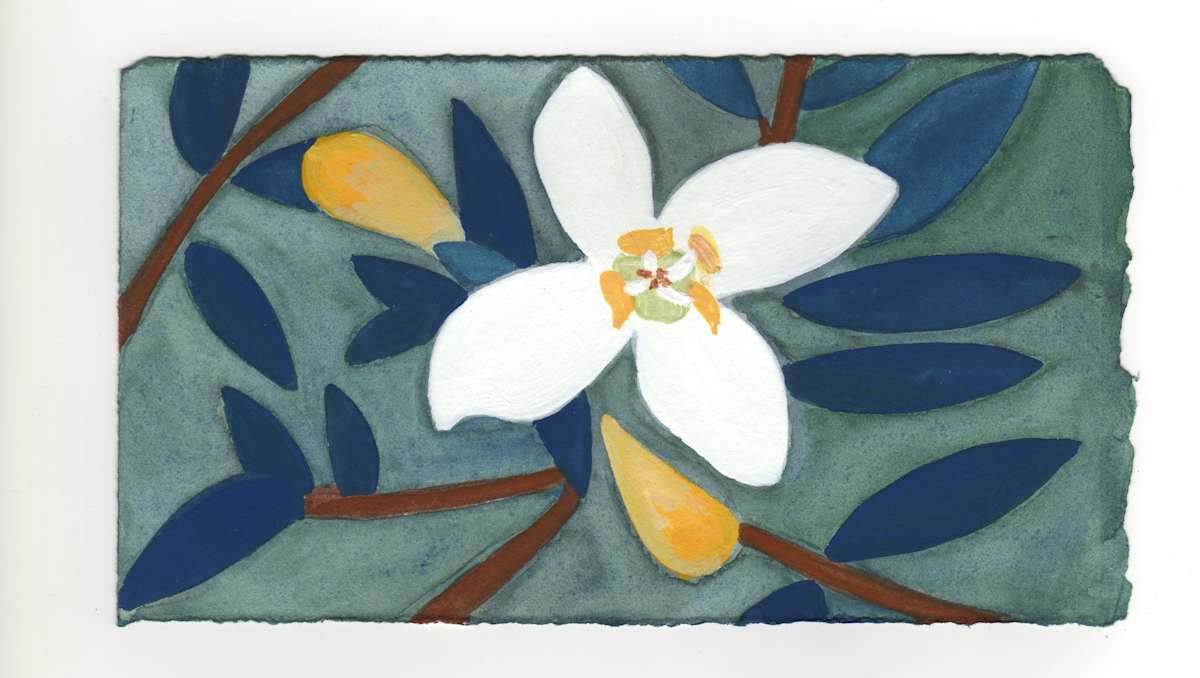 A Little Blossom on a Shrub. #1351 by Raya Bodnarchuk, Estate, Image 1.
