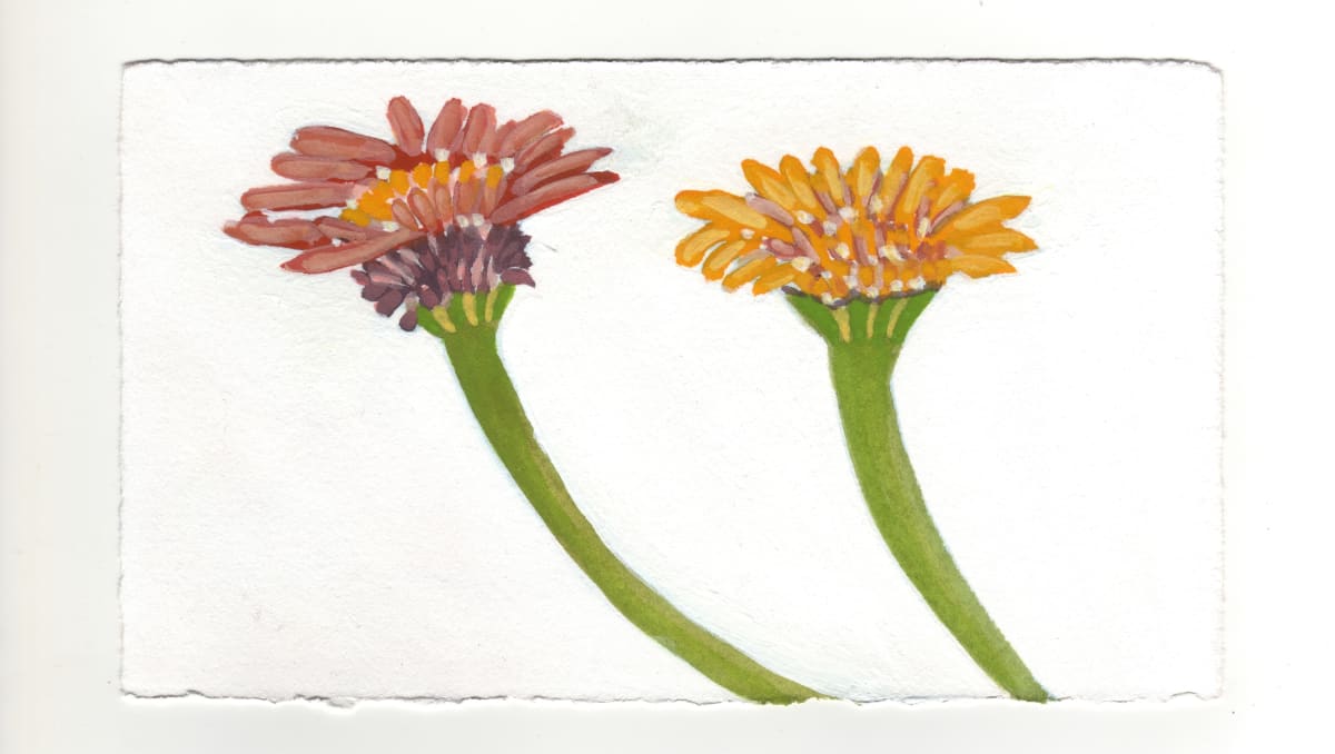 Two Zinnias. #1353 by Raya Bodnarchuk, Image 1.