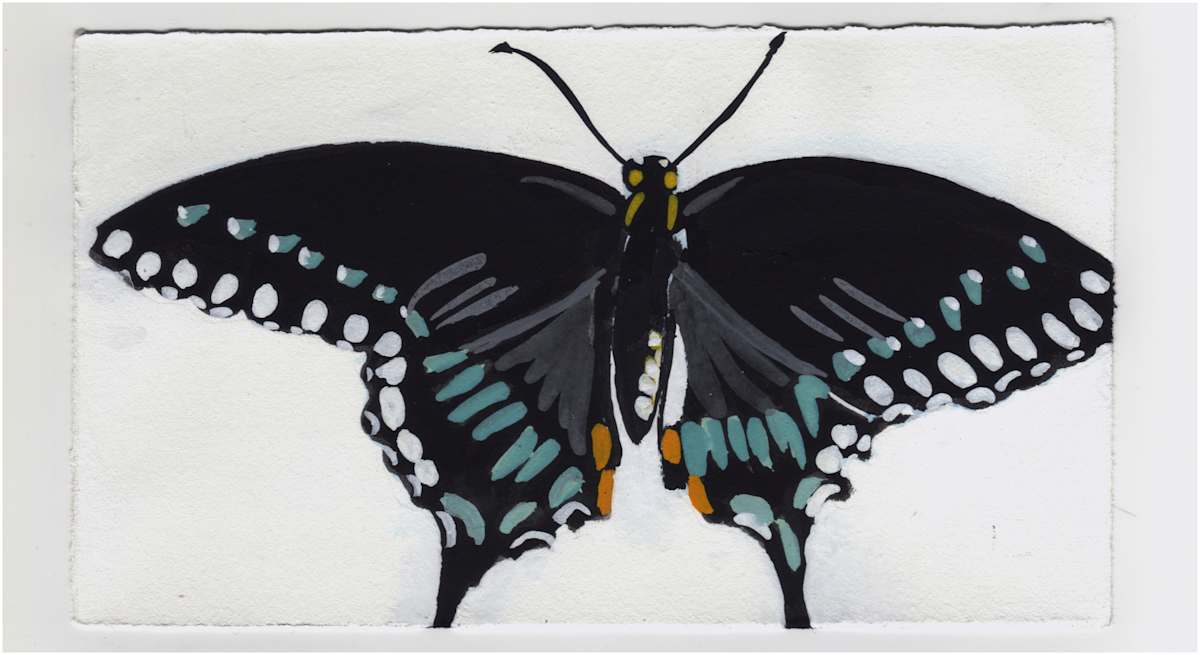 A Swallowtail Butterfly on Theodore Roosevelt Island. #1364 by Raya Bodnarchuk, Estate, Image 1.