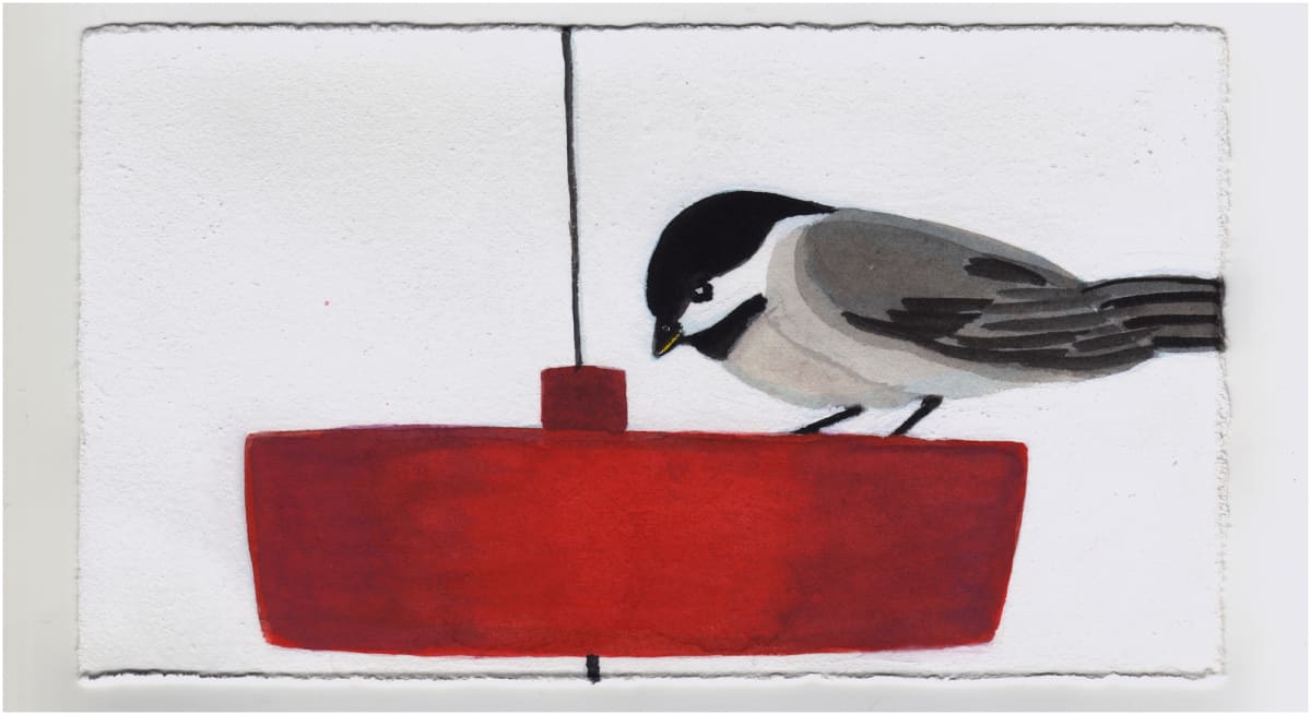 A Chickadee Drinking From the Ant Moat. #1365 by Raya Bodnarchuk 