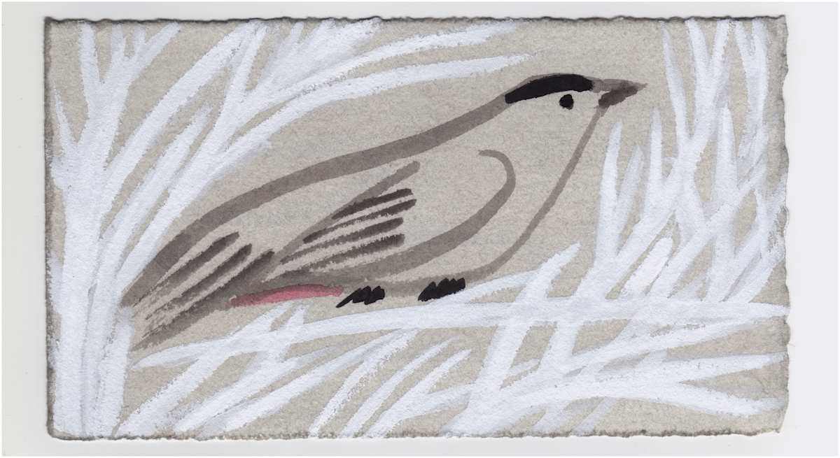 Thinking of a Cat Bird. #1366 by Raya Bodnarchuk, Estate, Image 1.