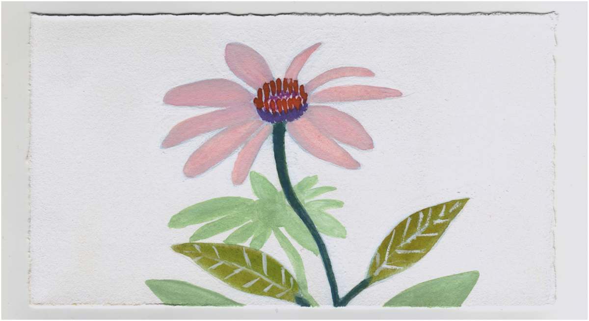 A Tiny Echinacea. #1370 by Raya Bodnarchuk, Estate, Image 1.