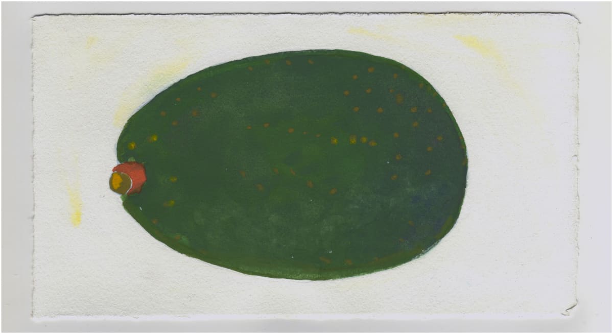 My Avocado. #1373 by Raya Bodnarchuk, Estate 