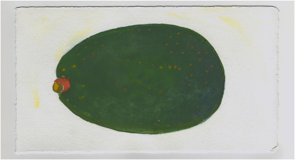 My Avocado. #1373 by Raya Bodnarchuk, Estate, Image 1.