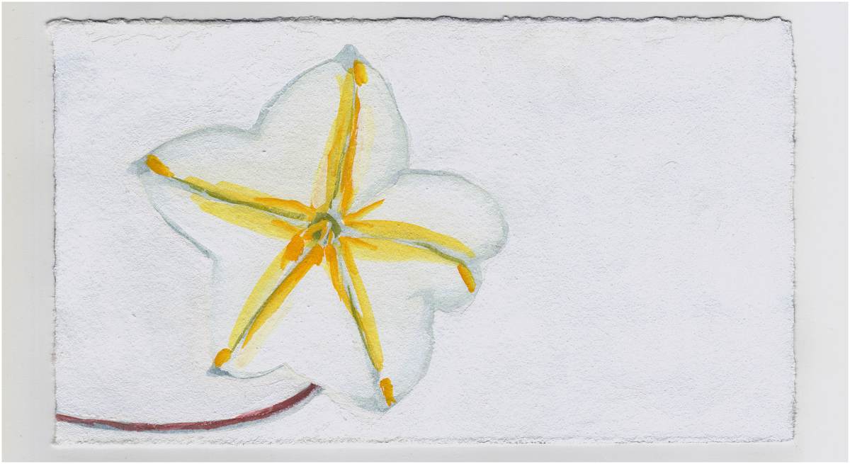 Moon Flower. #1392 by Raya Bodnarchuk, Estate, Image 1.
