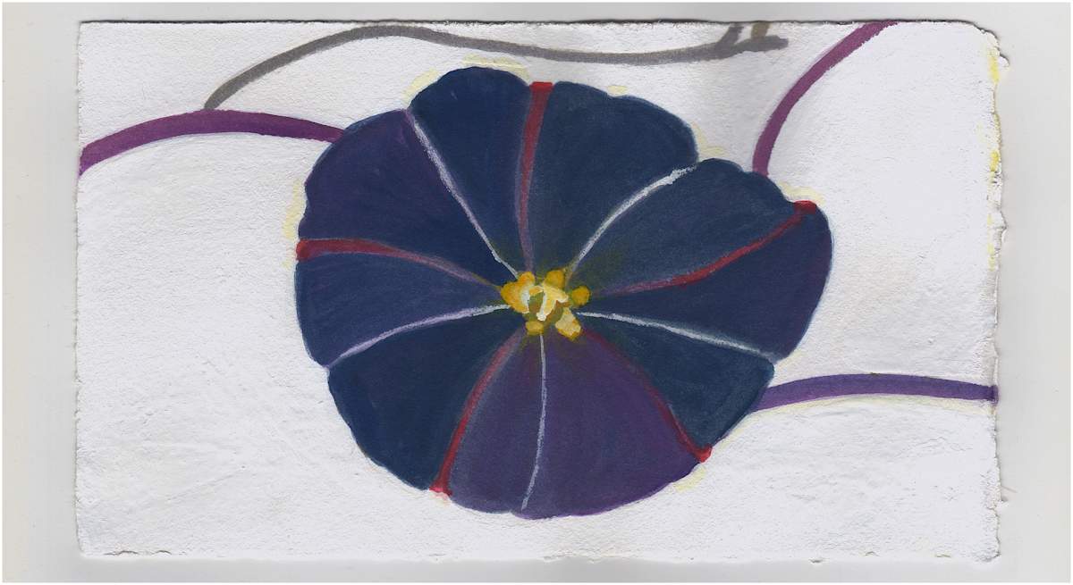 A Morning Glory on the First Day of Fall. #1396 by Raya Bodnarchuk, Estate, Image 1.