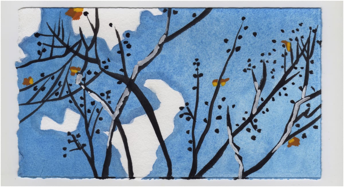 The Tops of Some Sycamores. #1435 by Raya Bodnarchuk 