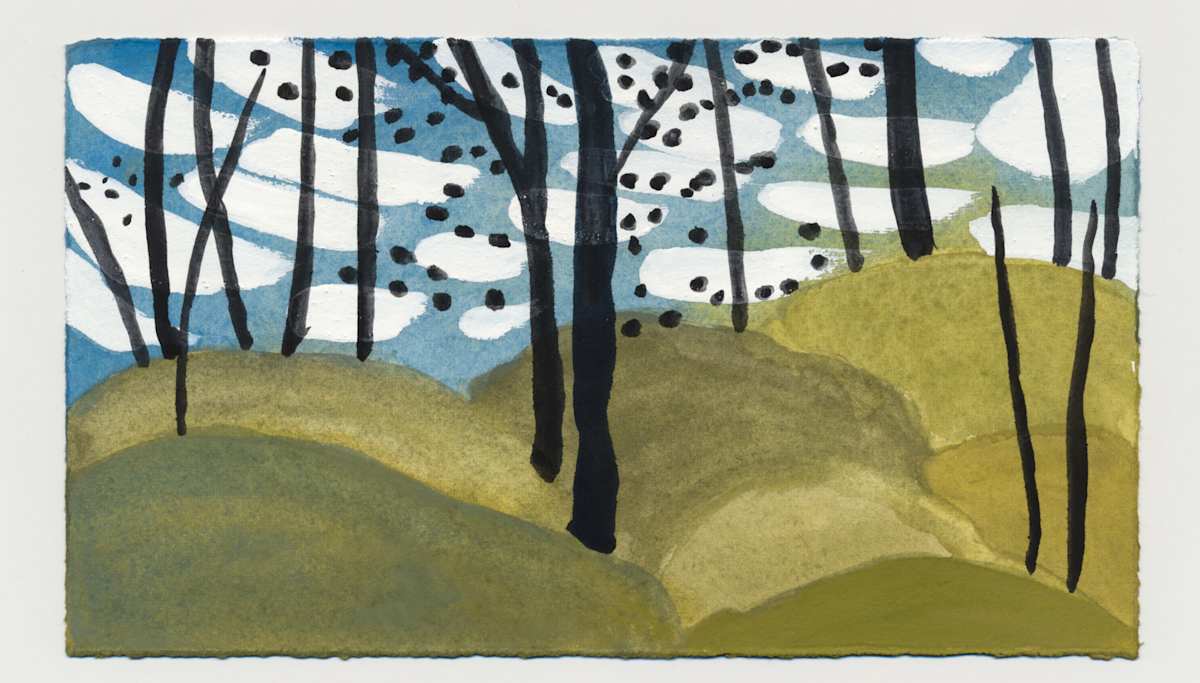 Virginia Pines and Lichen on Olmsted Island . #1469 by Raya Bodnarchuk, Estate, Image 1.