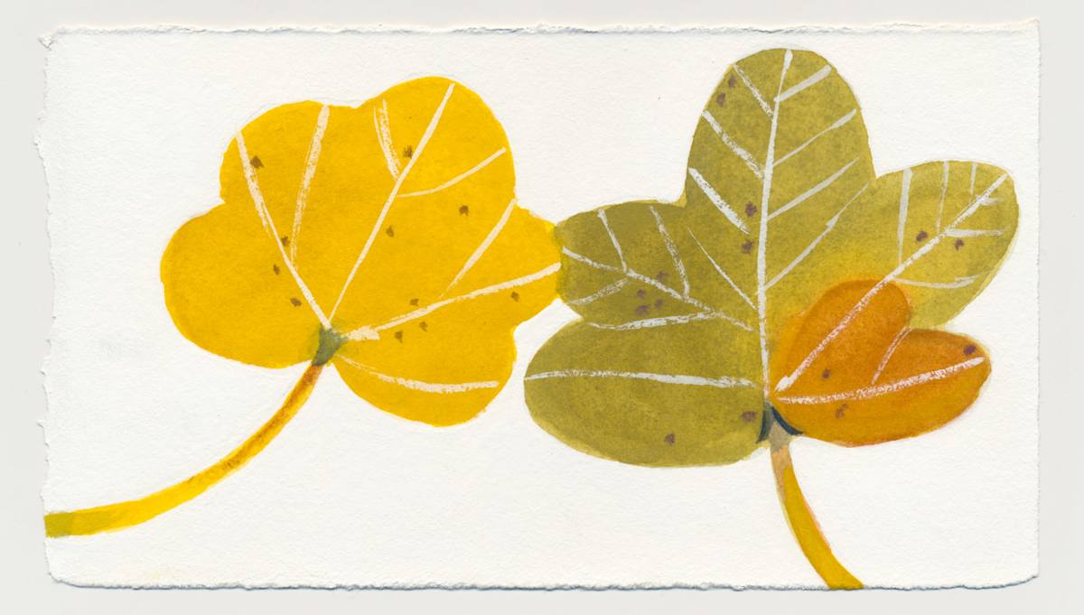Two Nice Leaves on P Street in Georgetown . #1470 by Raya Bodnarchuk, Estate, Image 1.