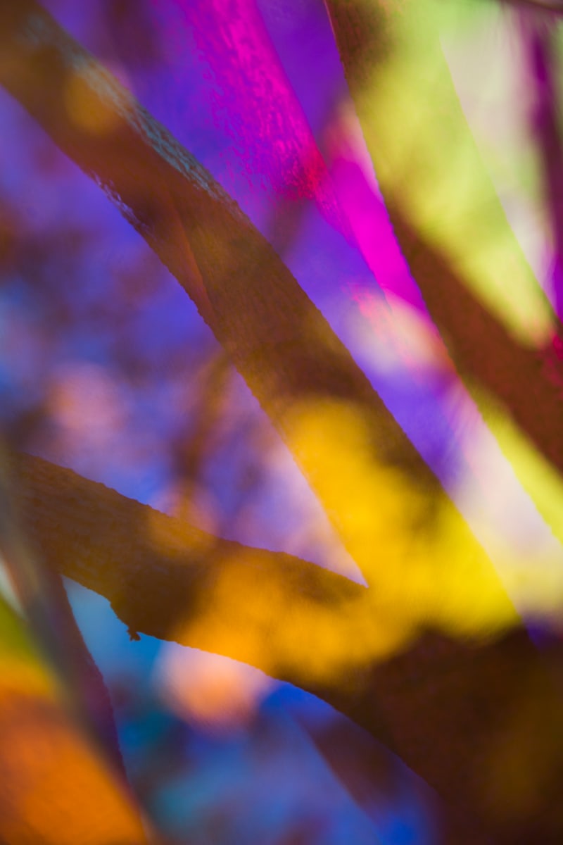 Branch Divide by Aaron Farley, Image 1.