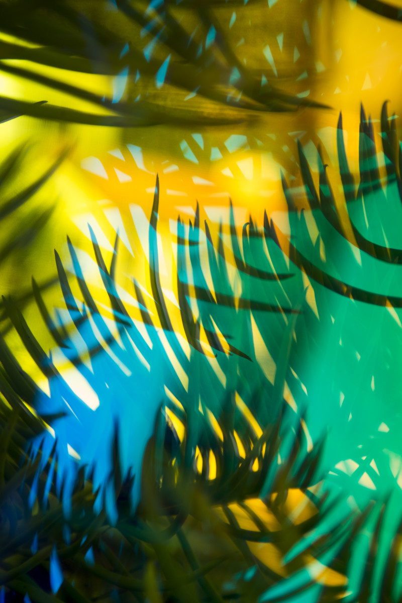 Green Yellow layered  by Aaron Farley, Image 1.
