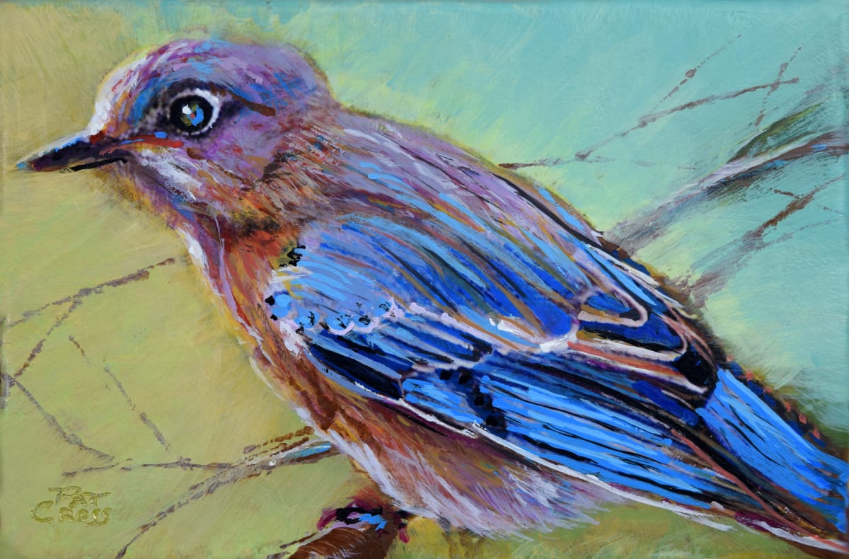 Backyard Bluebird by Pat Cross 