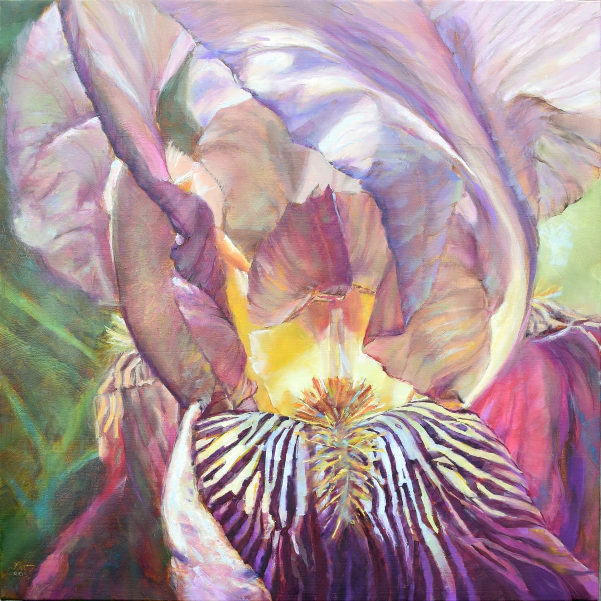 Bearded Beauty by Pat Cross 