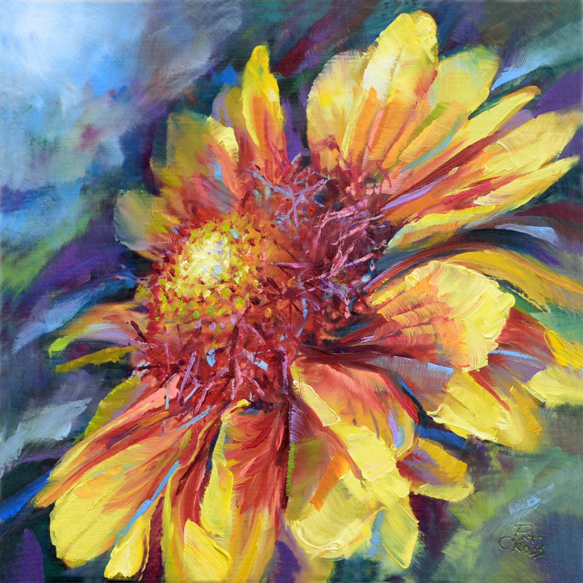 Fiesta Daisy by Pat Cross 