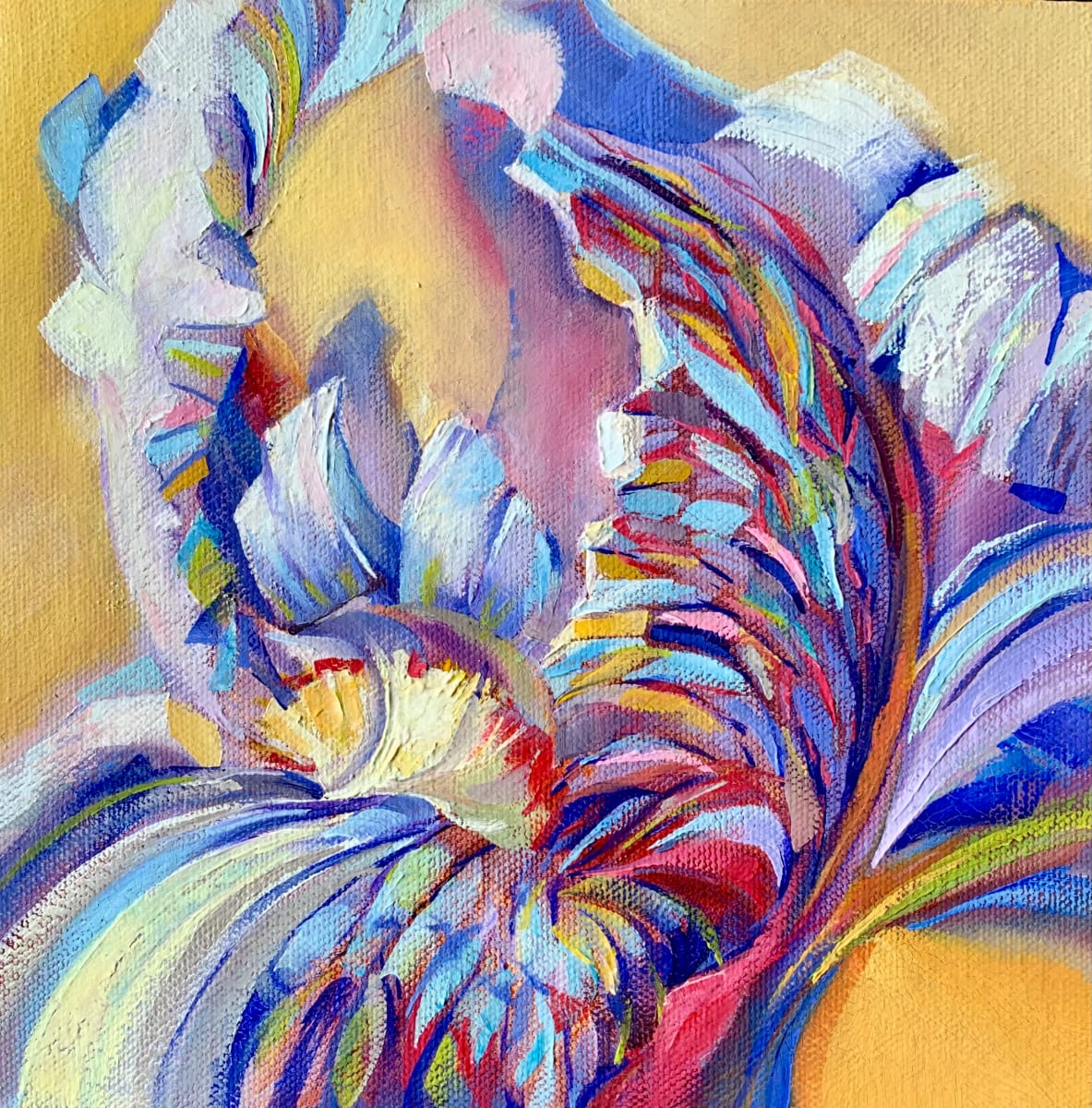Regal Iris by Pat Cross  Image: New painting