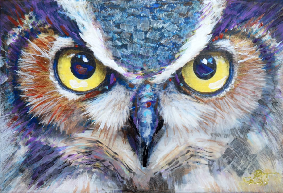 Night Owl by Pat Cross 