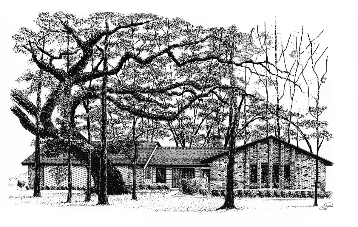 Portrait of a Home by Pat Cross  Image: Live Oak Canopy