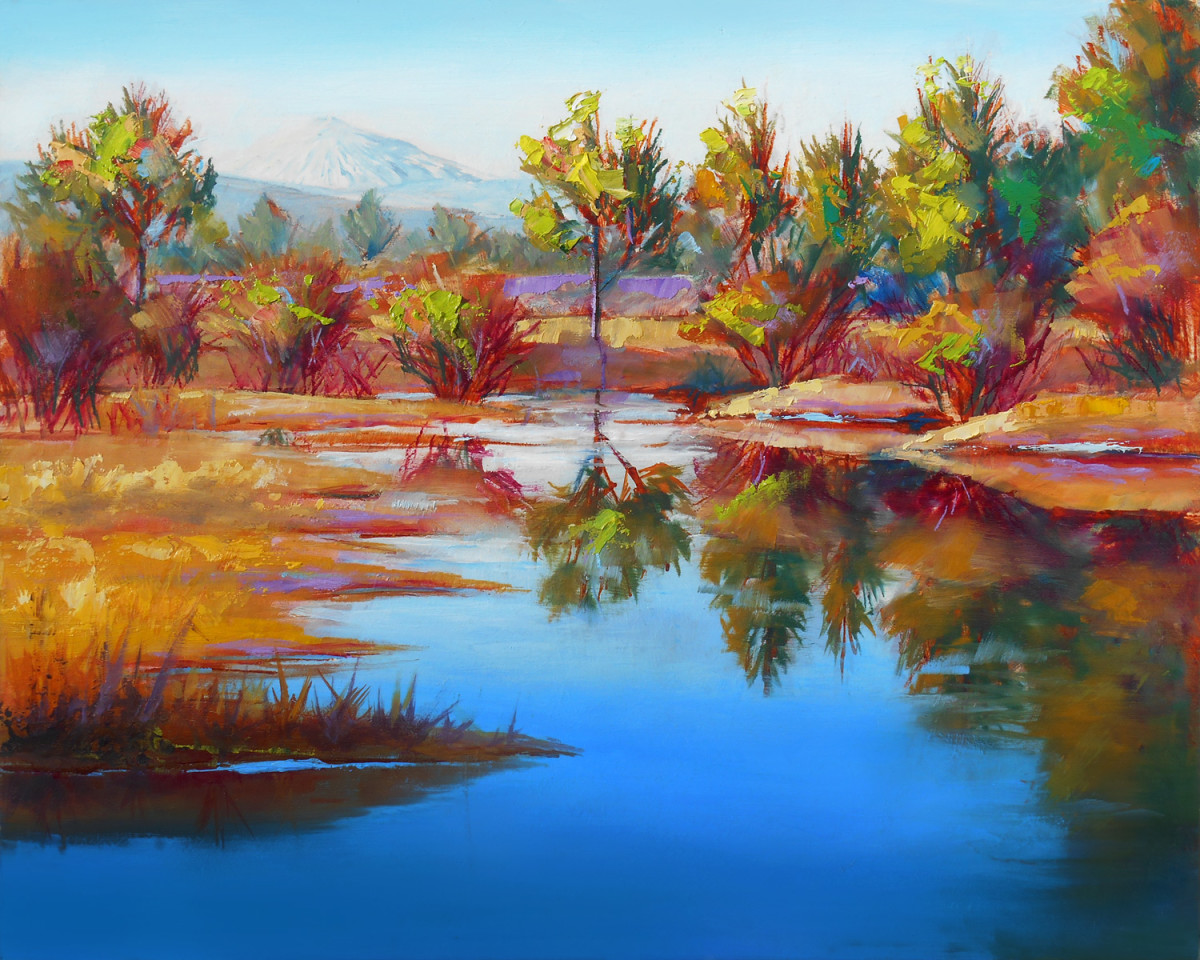 The Looking Glass by Pat Cross 